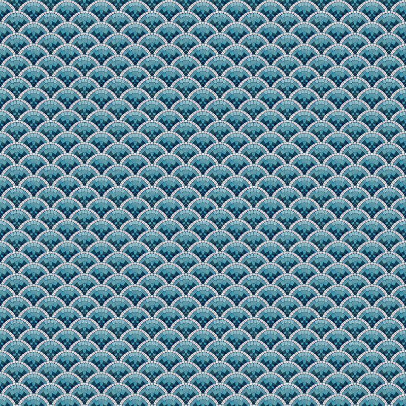 Scallop - Aqua