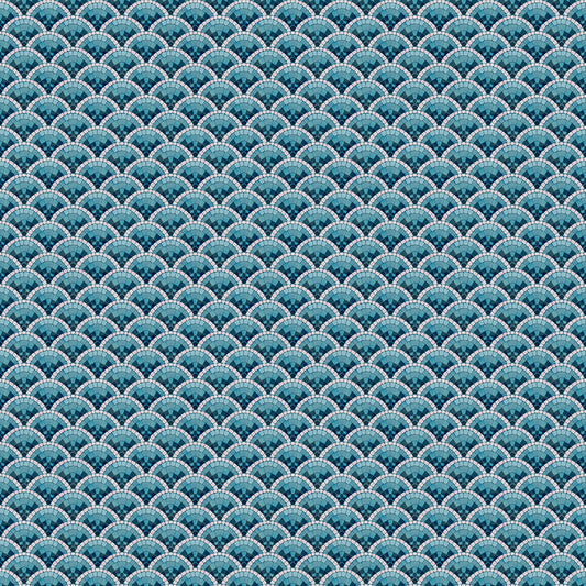 Scallop - Aqua