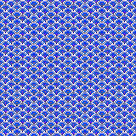 Scallop - Blue