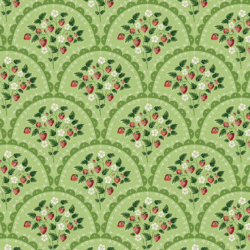 Scallop - Green