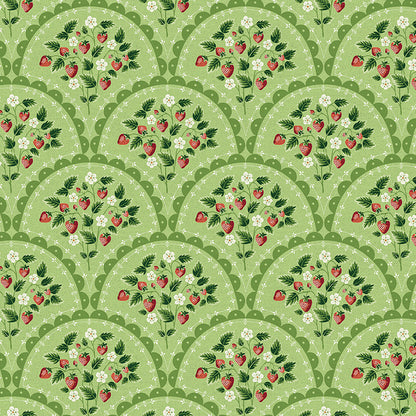 Scallop - Green