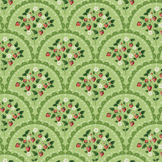 Scallop - Green
