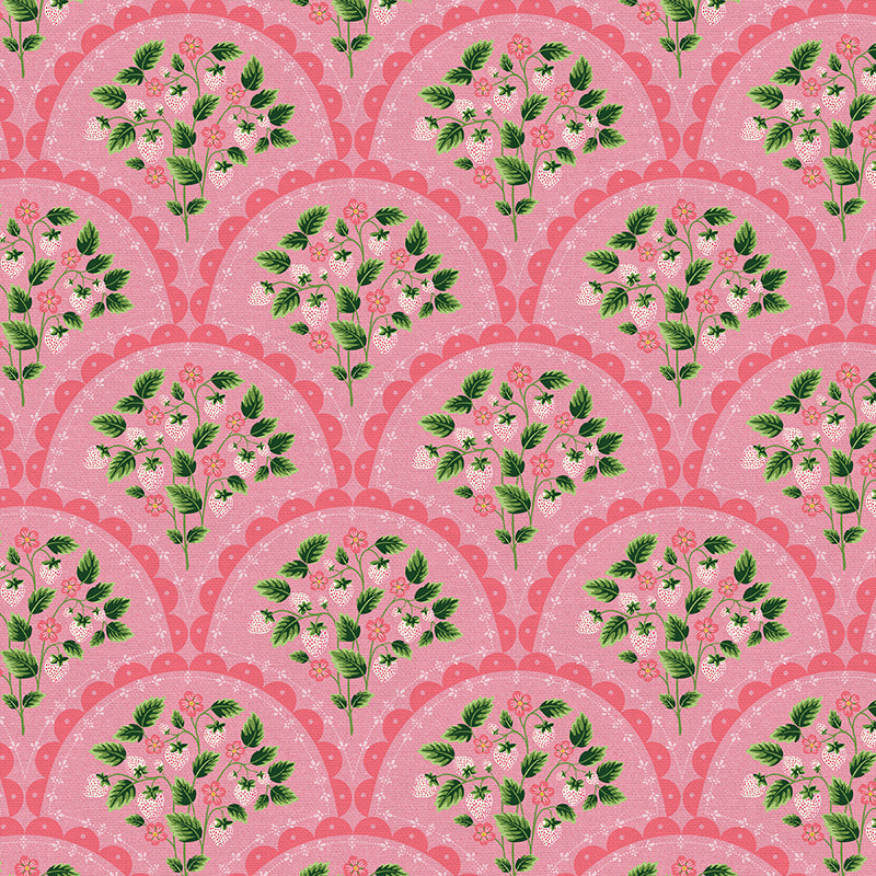Scallop - Pink