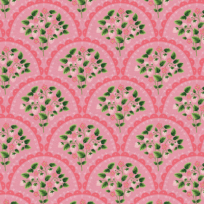 Scallop - Pink