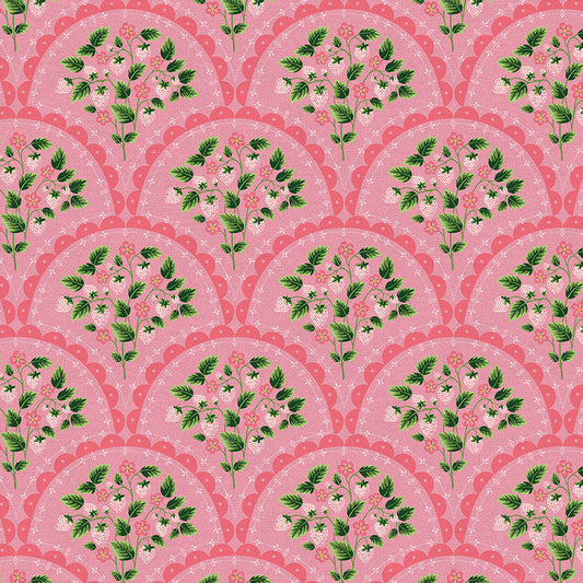 Scallop - Pink