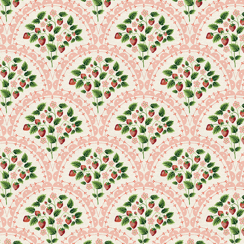 Scallop - Red
