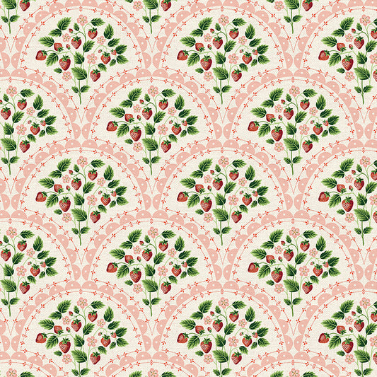 Scallop - Red