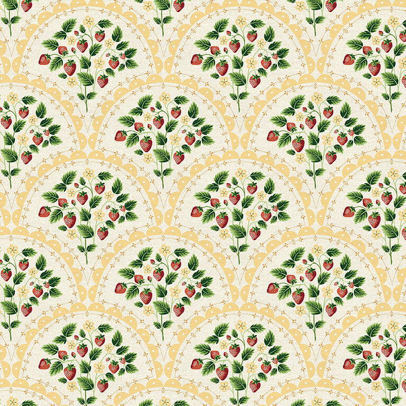 Scallop - Yellow