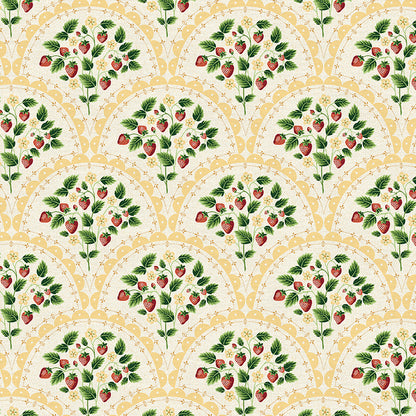 Scallop - Yellow