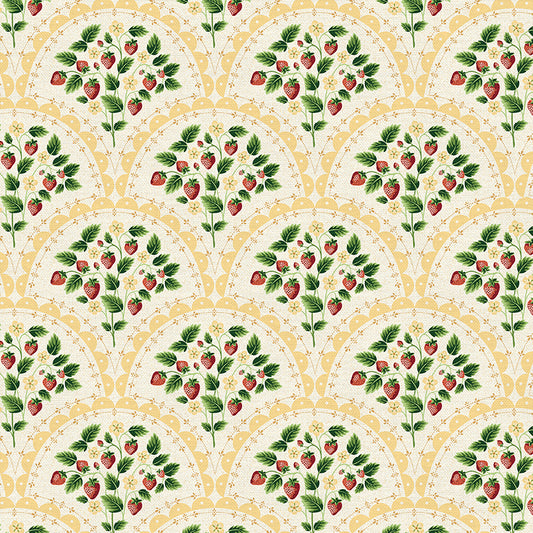 Scallop - Yellow