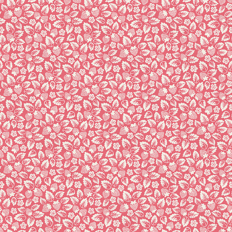Line Art - Pink
