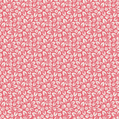Line Art - Pink