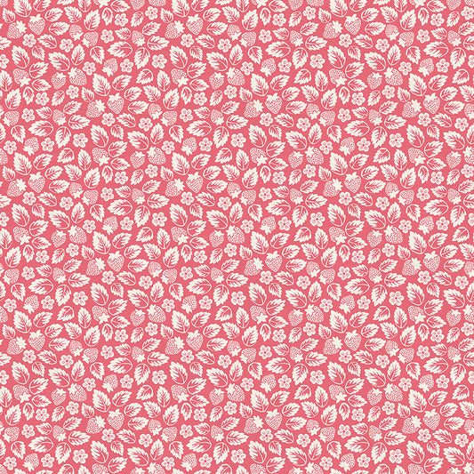 Line Art - Pink