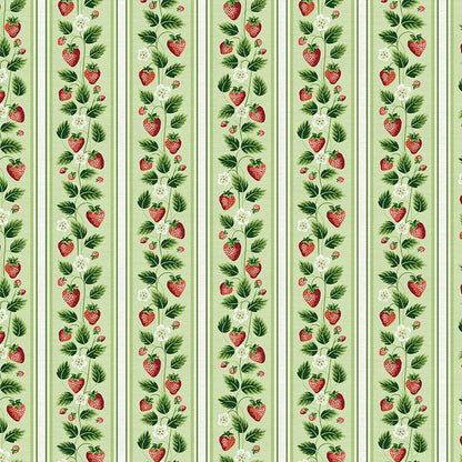 Strawberry Stripe - Green