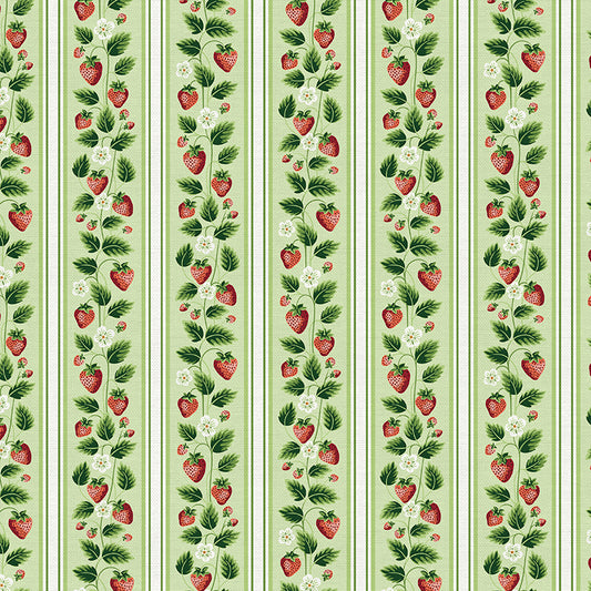 Strawberry Stripe - Green