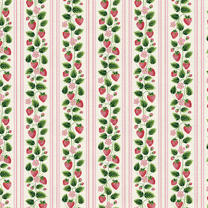 Strawberry Stripe - Pink