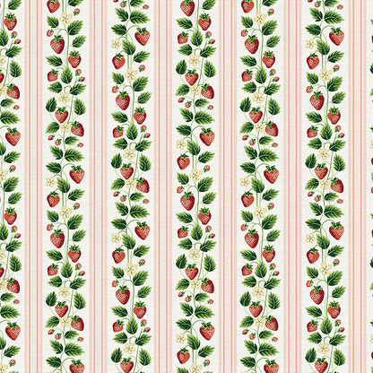 Strawberry Stripe - Red