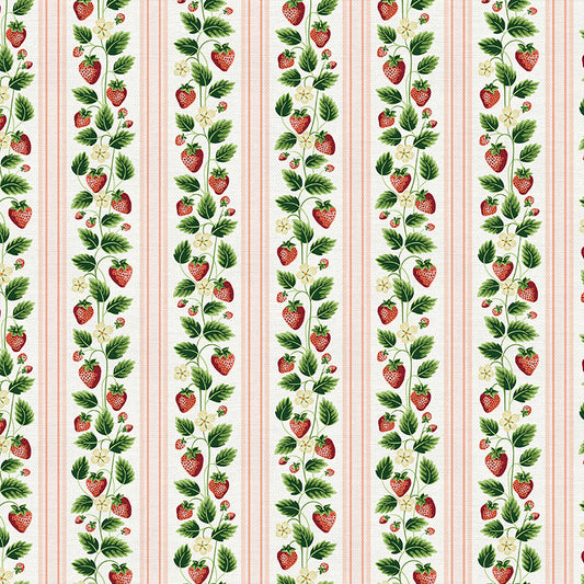 Strawberry Stripe - Red