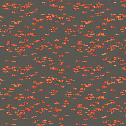 School of Fish - Orange