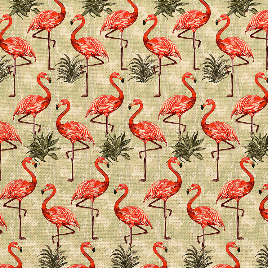 Flamingos