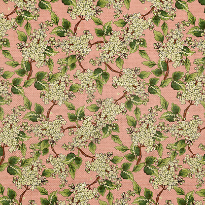 Hydrangea Dreams - Pink