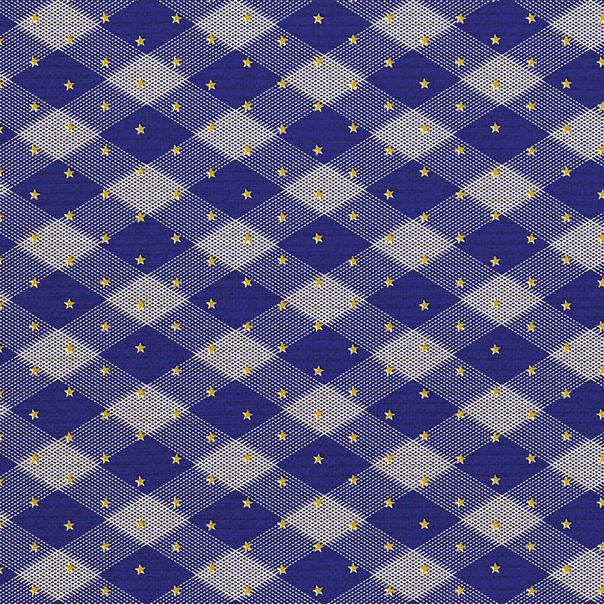 Gingham Stars - Blue