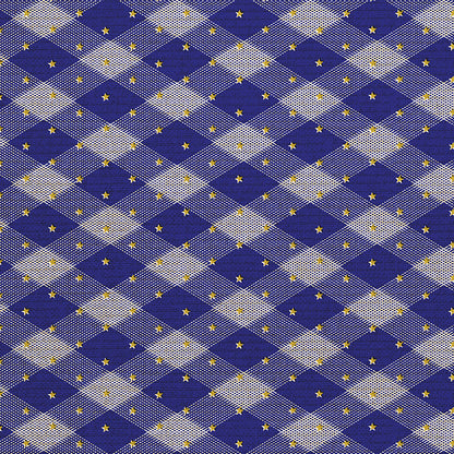 Gingham Stars - Blue