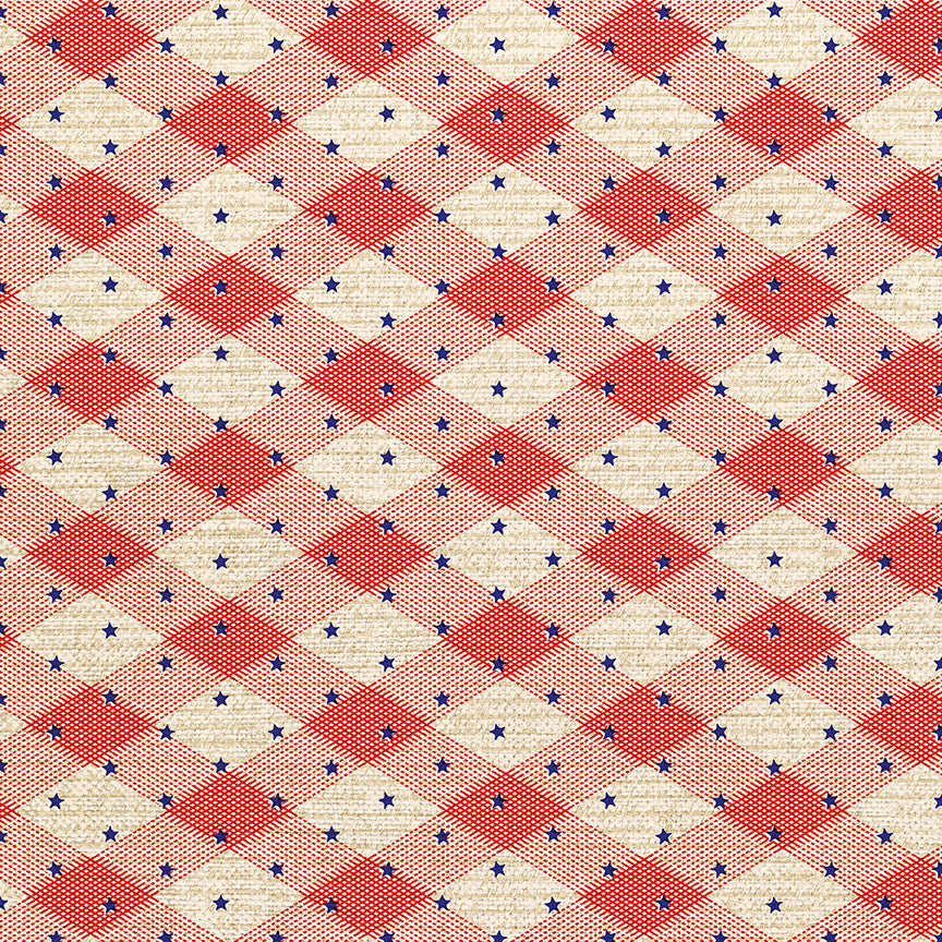 Gingham Stars - Red