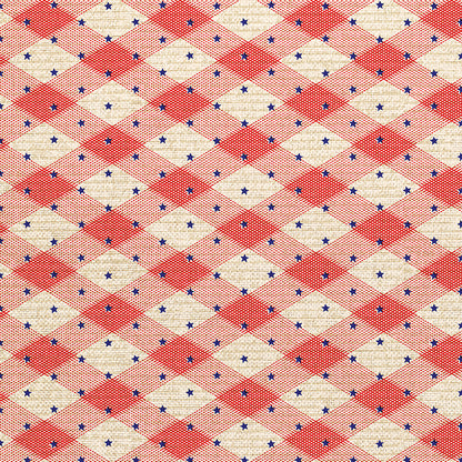 Gingham Stars - Red