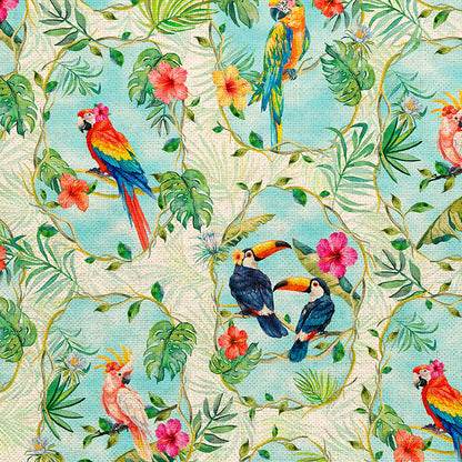 Bird Frames