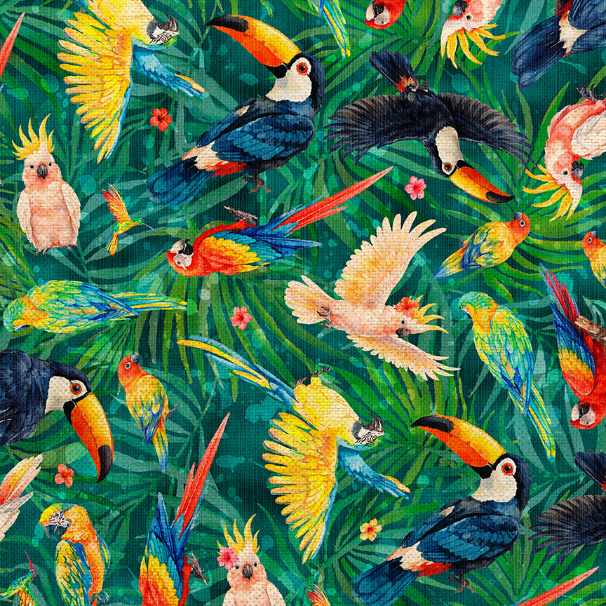Bird Toss