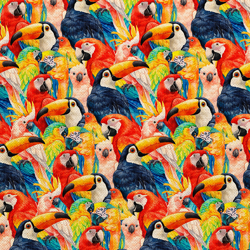 Bird Faces