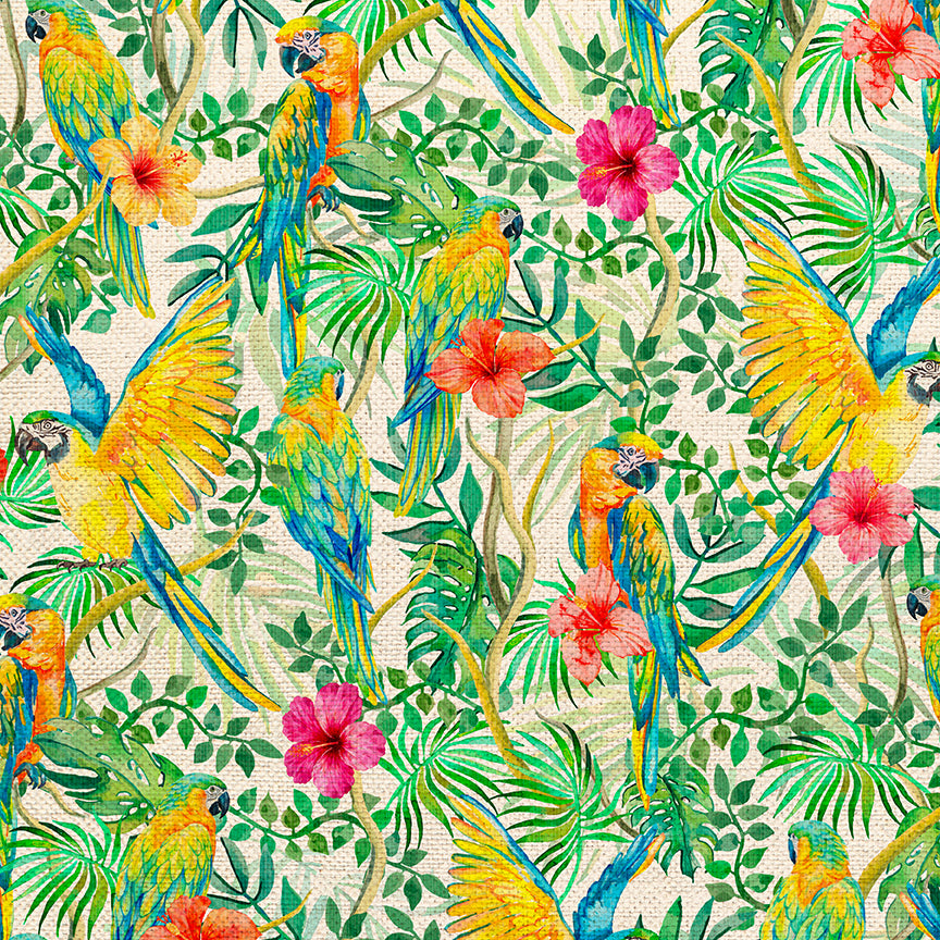 Parrots