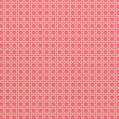 Cane - Pink/Red