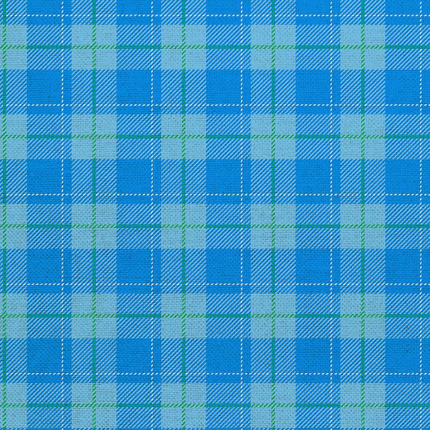 Plaid - Blue