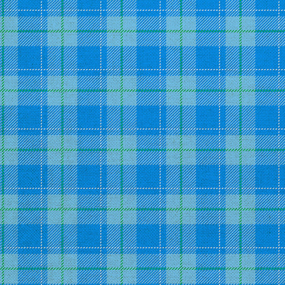 Plaid - Blue