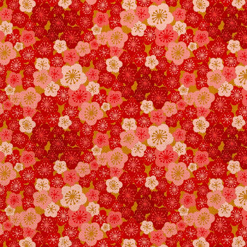 Cherry Blossom Blooms
