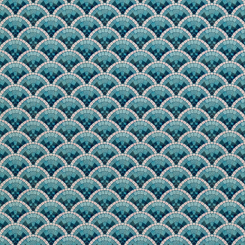 Scallop - Aqua