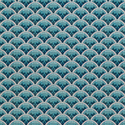 Scallop - Aqua
