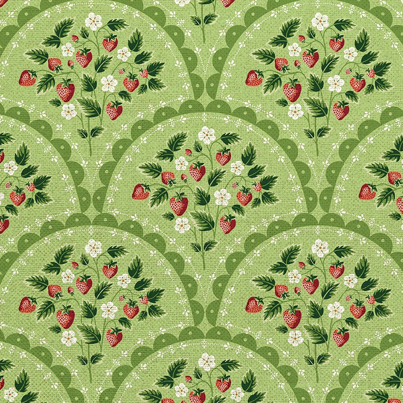 Scallop - Green