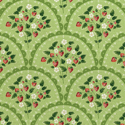 Scallop - Green