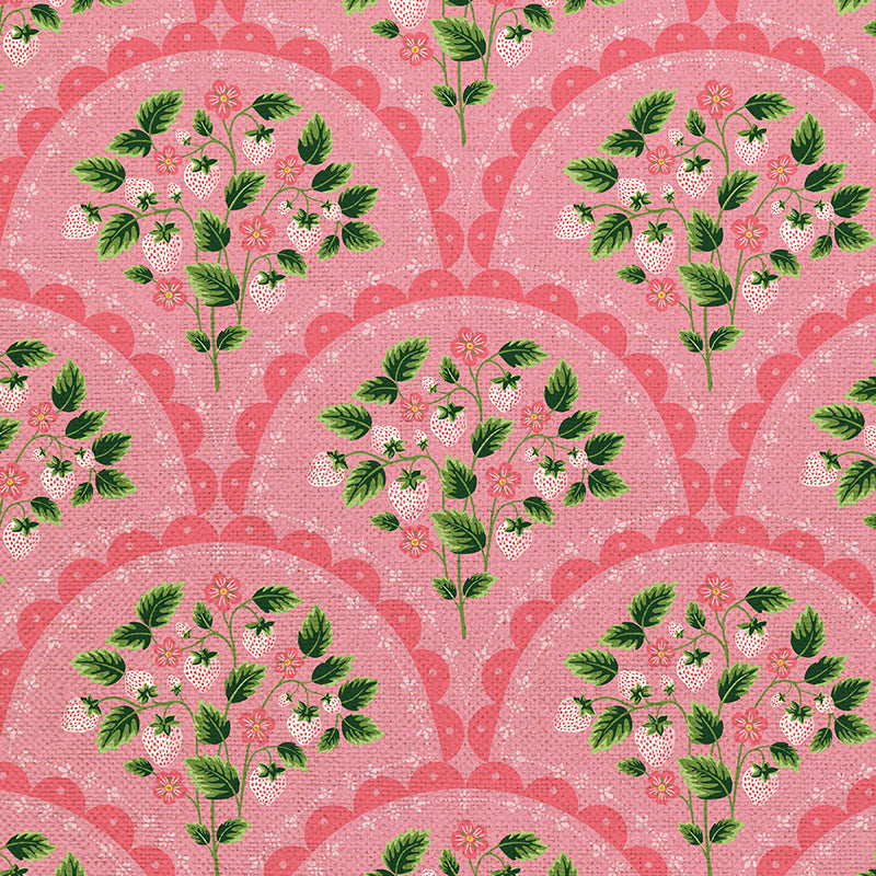 Scallop - Pink