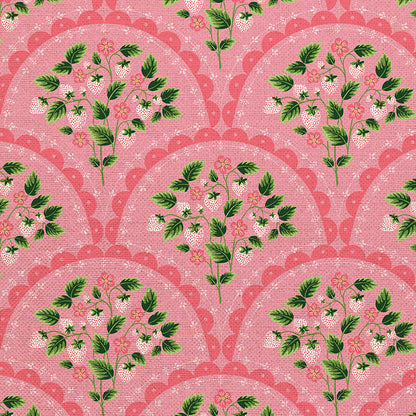 Scallop - Pink