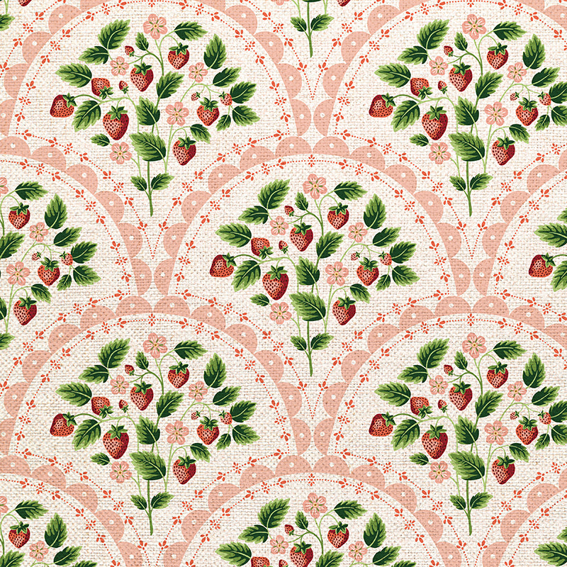 Scallop - Red