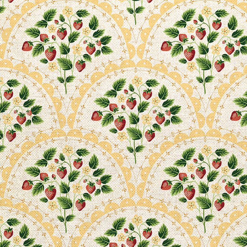 Scallop - Yellow