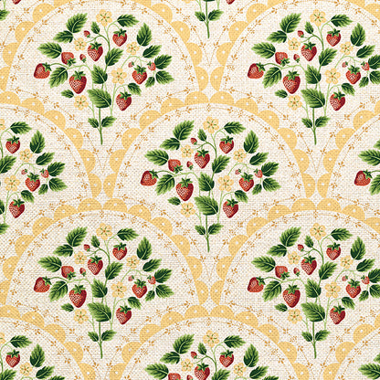 Scallop - Yellow