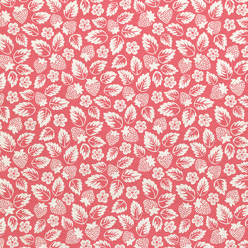 Line Art - Pink