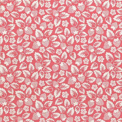 Line Art - Pink