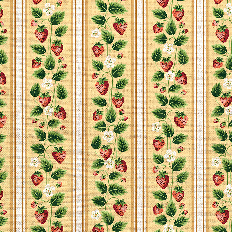 Strawberry Stripe - Yellow