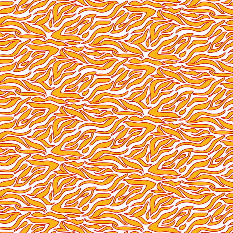 Zebra Stripes